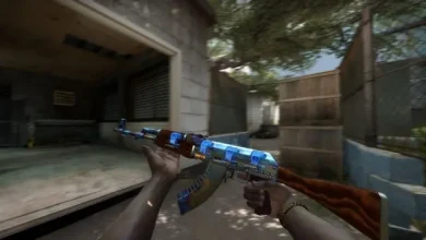 Nadir Bir CS:GO Silah Kaplaması 150 Bin Dolara Satıldı