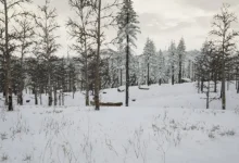 Türk Yapımı Hayatta Kalma Oyunu Erzurum Steam'de Yerini Aldı