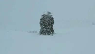 Game of Thrones Tanıtımı İçin Saklanan 6 Tahtın İlki Bulundu