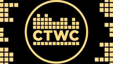 2020 Klasik Tetris Dünya Şampiyonu, 13 Yaşındaki Çocuk Oldu