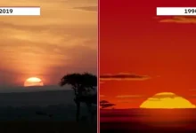 1994 ve 2019 Yapımı Aslan Kral Fragman Karşılaştırması