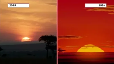 1994 ve 2019 Yapımı Aslan Kral Fragman Karşılaştırması