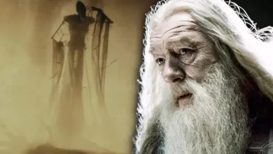 Dumbledore'u Merkezine Alan Meşhur Harry Potter Teorisi