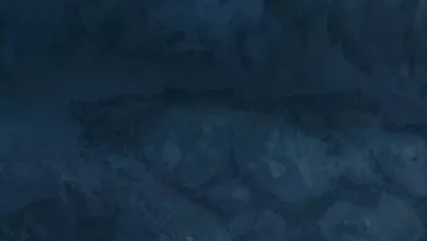 GOT'un Sezon Finalinde Herkes Bu Gizli Mesajı Kaçırdı!