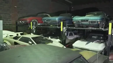 Ender Araçların Üst Üste Dizildiği Depo (Video) 5 Nadir Araçların Üst Üste Dizildiği Depo (Video)