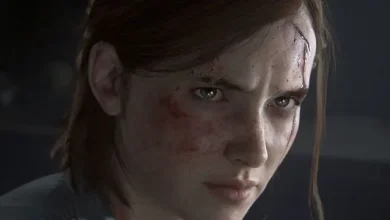 2020 Oyunlarının Ana Karakter Cinsiyet Dağılımları