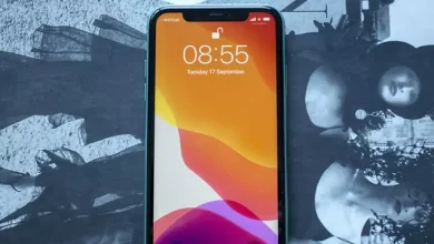 BOE, Apple'ın iPhone 12 Serisi İçin OLED Ekran Üretecek
