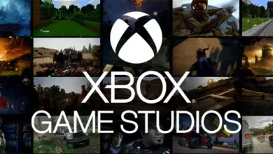Xbox Game Studios, Bu Sene 15 Oyun Yayınlayarak Rekor Kırdı