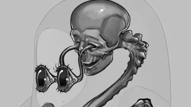 Fall Guys Fasulyelerinin Ürkütücü Anatomisi Paylaşıldı