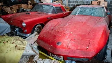 Bir Ahırda Bulunan 50 Klasik Araba Açık Artırmaya Çıkıyor