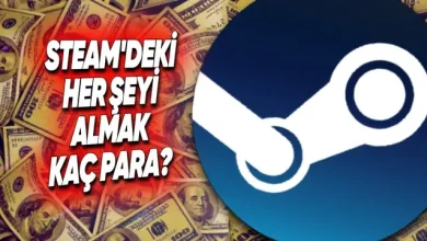 Steam'deki Her Şeyi Satın Almak Kaç Para?