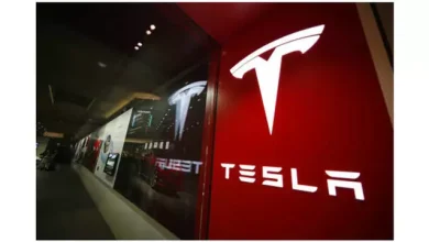 Tesla Yapımı Durdurulan Fabrika İçin Mahkemeden Onay Aldı