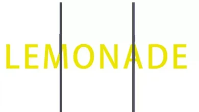 OnePlus 9 Model Numaraları ve Özellikleri Belli Oldu