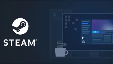 Steam Achievement Manager Nedir? Banlanma Sebebi mi?