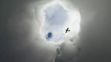 Microsoft Flight Simulator'de Laura Kasırgasına Akın Edildi