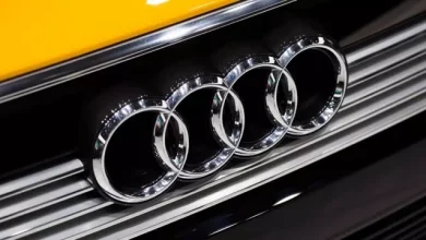 Audi Türkiye'den İzmir'e 5 Ağaçlık Proje