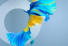 Huawei Mate 40 Pro'nun Göz Alıcı Duvar Kağıtları Yayınlandı