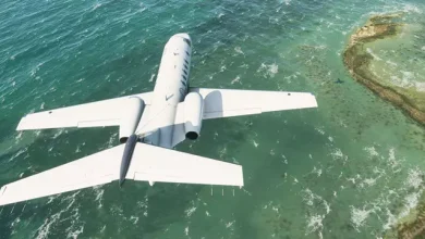 Microsoft Flight Simulator 2020'nin Boyutu Belli Oldu