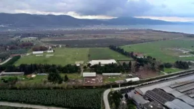 Yerli Otomobilin Üretim Tesisi - Bursa Gemlik