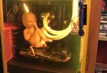 Death Stranding Hayranlığının Son Göstergesi