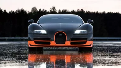 Bugatti Veyron'un Yıllık Bakım Maliyeti Ne Kadar?