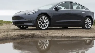 Tesla Model 3'ün Sudaki Meziyetlerini Gösteren Video