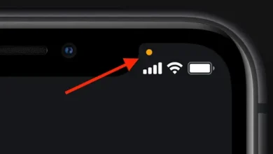 iOS 14'le Ekranda Çıkan Turuncu Renkli Nokta Ne İşe Yarıyor?