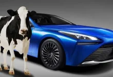 Toyota Mirai, Gücünü İnek Dışkısından Alacak
