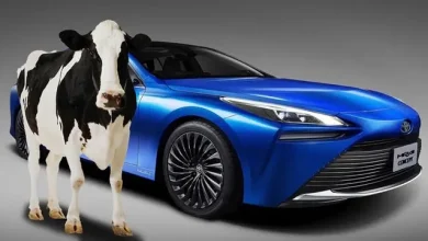 Toyota Mirai, Gücünü İnek Dışkısından Alacak