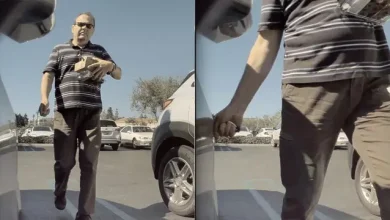 Tesla Model 3, Vandallıkları Yakalamaya Devam Ediyor