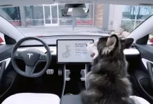 Tesla Araçlardaki Özellik, Bir Sürücünün Ceza Almasını Önledi