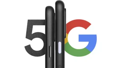 Google Pixel 5'in İşlemcisi, Bir Platformda Açığa Çıktı
