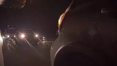 Tesla'nın Gözcü Modu Kamerasına Takılan İlginç Anlar (Video)