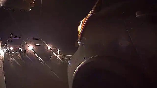 Tesla'nın Gözcü Modu Kamerasına Takılan İlginç Anlar (Video)