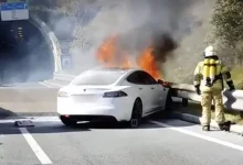 Bir Tesla Modeli Daha Park Halindeyken Alev Aldı