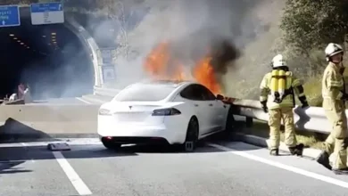 Bir Tesla Modeli Daha Park Halindeyken Alev Aldı