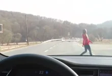 Tesla Oto Pilotunun Çarpma Testinde Karısını Kullanan Adam