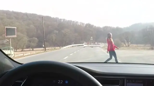 Tesla Oto Pilotunun Çarpma Testinde Karısını Kullanan Adam