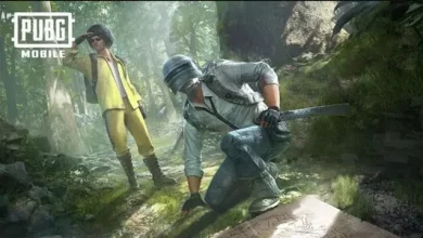 PUBG Mobile'a 'Gizemli Orman Modu' Geliyor