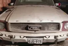 44 Yıldır Atıl Halde Duran ‘65 Mustang'in Hayata Dönüşü