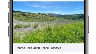 iOS 14’le Birlikte Fotoğraflara Başlık Eklenebilecek