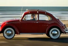 Vosvos (Tosbağa) Hakkında Az Bilinen 10 Gerçek