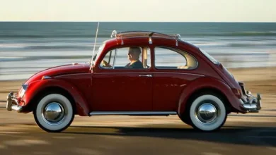 Vosvos (Tosbağa) Hakkında Az Bilinen 10 Gerçek