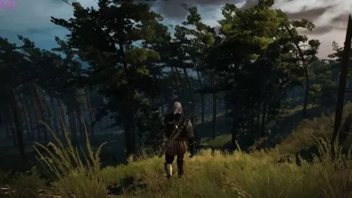 The Witcher 3 Redux Modun Yeni Sürümü Yayınlandı