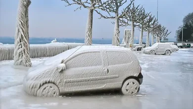 Soğuk Havalarda Aracınızı Neden Isıtmalısınız?