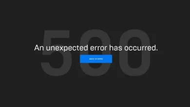 Epic Games Store Çöktü mü?