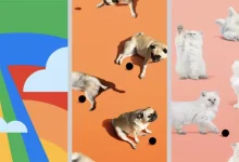 Pixel 4a’nın Duvar Kağıtları İndirilebilir Oldu