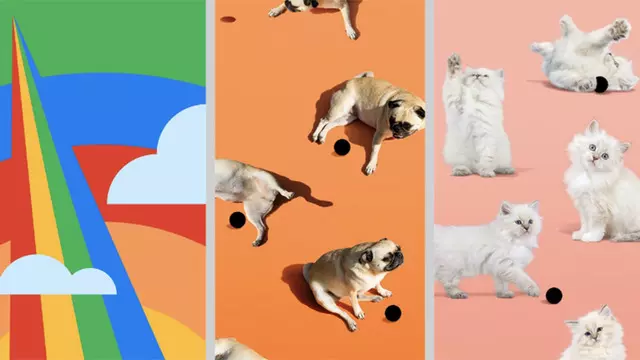 Pixel 4a’nın Duvar Kağıtları İndirilebilir Oldu