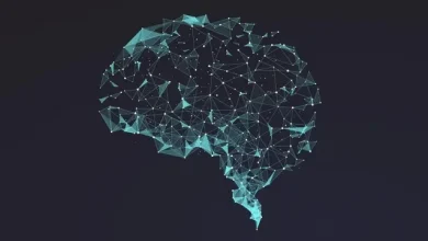 Valve CEO'su: Oyunlar Beynimizi Sabit Disk Olarak Kullanacak