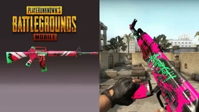 PUBG Mobile, CS:GO'daki Bir Silah Kaplamasını Kopyaladı